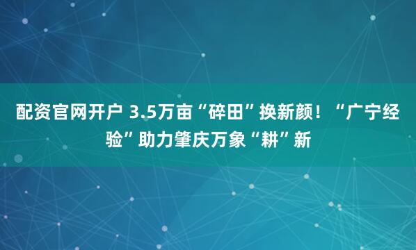 配资官网开户 3.5万亩“碎田”换新颜！“广宁经验”助力肇庆万象“耕”新