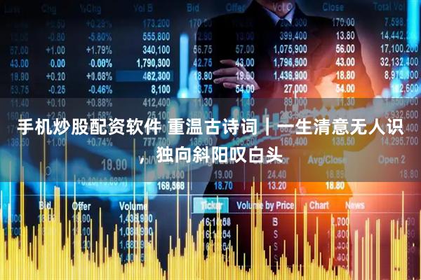 手机炒股配资软件 重温古诗词｜一生清意无人识，独向斜阳叹白头